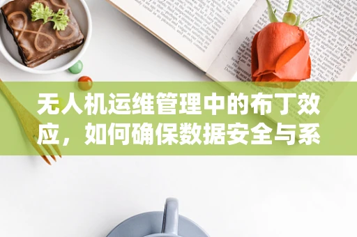 无人机运维管理中的布丁效应，如何确保数据安全与系统稳定？