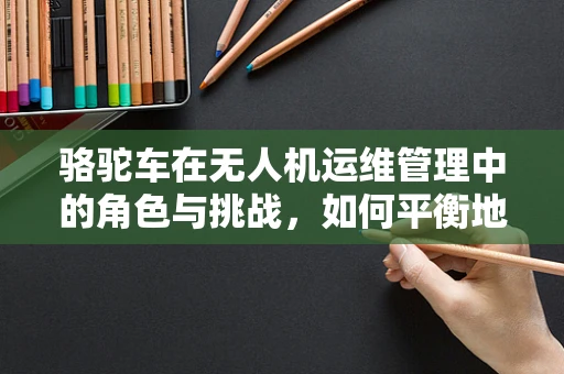 骆驼车在无人机运维管理中的角色与挑战，如何平衡地面运输与设备保护？