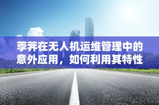 荸荠在无人机运维管理中的意外应用，如何利用其特性优化电池管理？