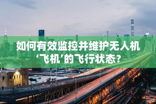 如何有效监控并维护无人机‘飞机’的飞行状态？