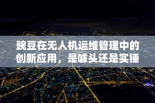 豌豆在无人机运维管理中的创新应用，是噱头还是实锤？
