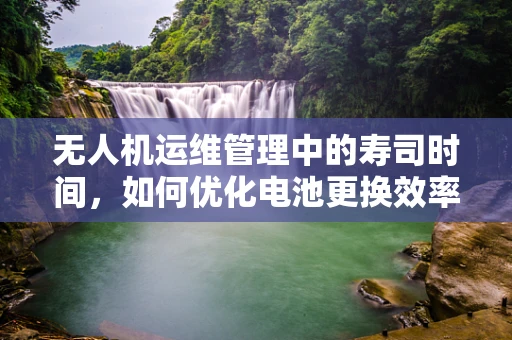 无人机运维管理中的寿司时间，如何优化电池更换效率？