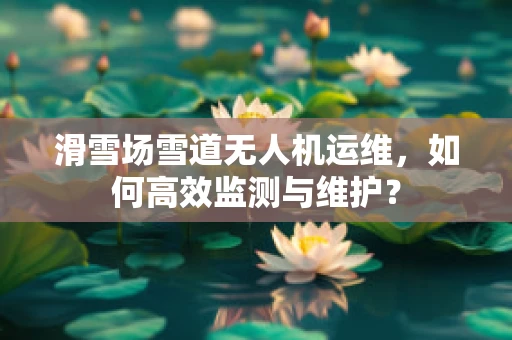 滑雪场雪道无人机运维，如何高效监测与维护？