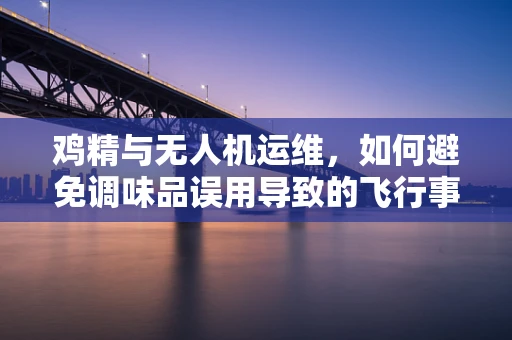 鸡精与无人机运维，如何避免调味品误用导致的飞行事故？