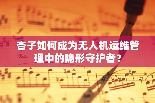 杏子如何成为无人机运维管理中的隐形守护者？