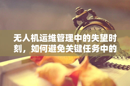 无人机运维管理中的失望时刻，如何避免关键任务中的技术故障？