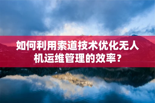 如何利用索道技术优化无人机运维管理的效率？