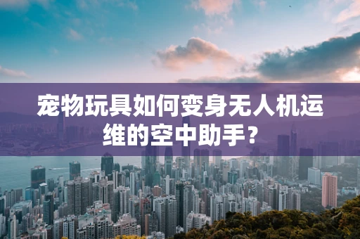 宠物玩具如何变身无人机运维的空中助手？