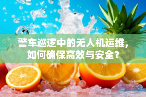 警车巡逻中的无人机运维，如何确保高效与安全？