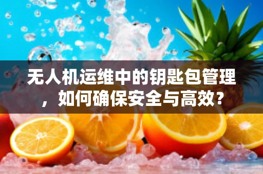 无人机运维中的钥匙包管理，如何确保安全与高效？