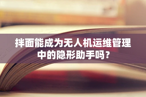 拌面能成为无人机运维管理中的隐形助手吗？
