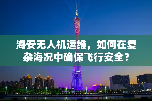 海安无人机运维，如何在复杂海况中确保飞行安全？