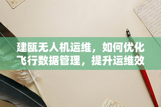 建瓯无人机运维，如何优化飞行数据管理，提升运维效率？