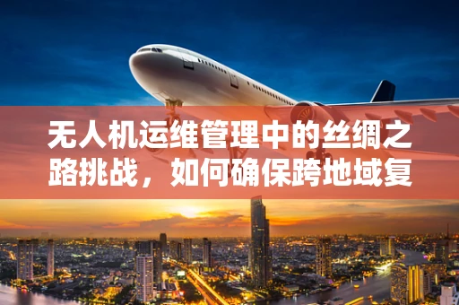 无人机运维管理中的丝绸之路挑战，如何确保跨地域复杂环境下的高效运维？