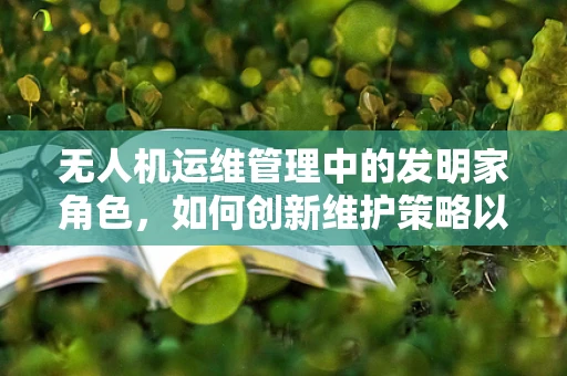 无人机运维管理中的发明家角色，如何创新维护策略以提升效率？