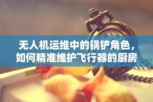 无人机运维中的锅铲角色，如何精准维护飞行器的厨房