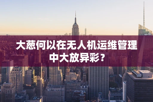 大葱何以在无人机运维管理中大放异彩？