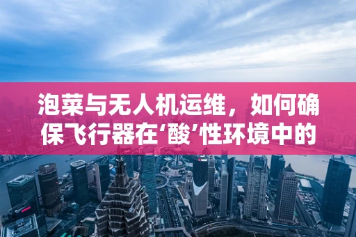 泡菜与无人机运维，如何确保飞行器在‘酸’性环境中的安全？