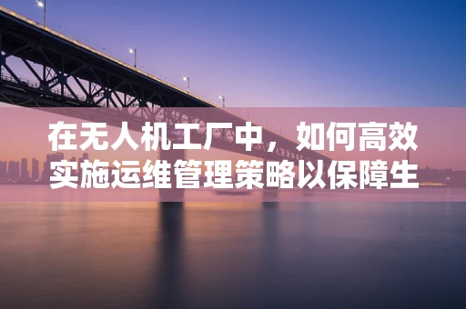 在无人机工厂中，如何高效实施运维管理策略以保障生产效率？