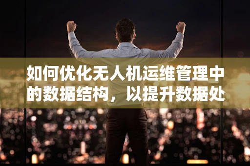 如何优化无人机运维管理中的数据结构，以提升数据处理效率？