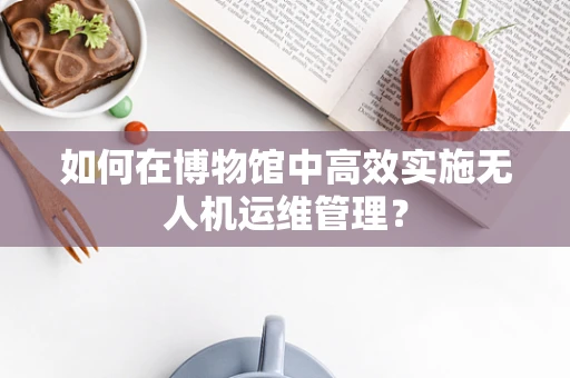 如何在博物馆中高效实施无人机运维管理？
