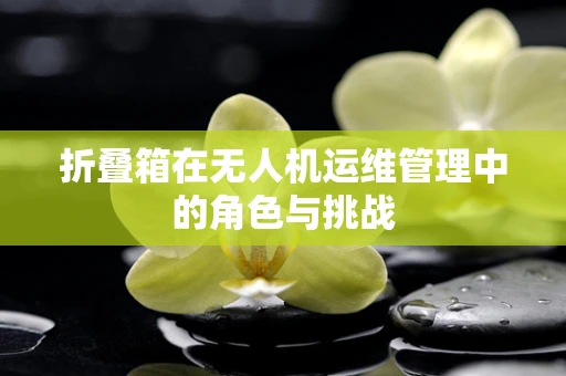 折叠箱在无人机运维管理中的角色与挑战
