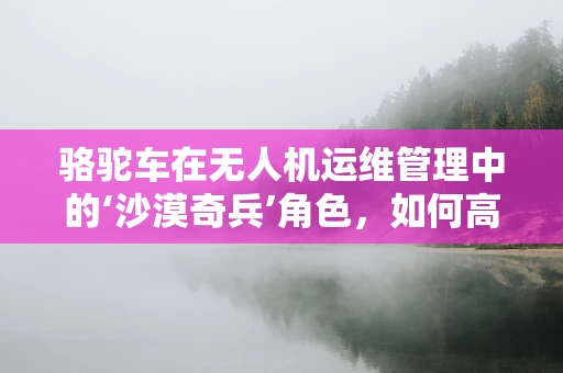 骆驼车在无人机运维管理中的‘沙漠奇兵’角色，如何高效利用？