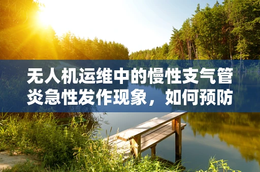 无人机运维中的慢性支气管炎急性发作现象，如何预防与应对？