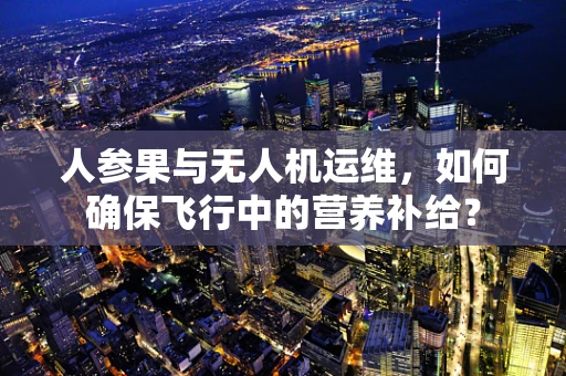 人参果与无人机运维，如何确保飞行中的营养补给？