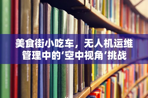 美食街小吃车，无人机运维管理中的‘空中视角’挑战