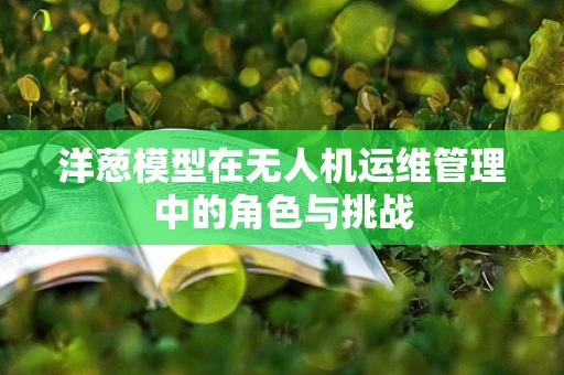 洋葱模型在无人机运维管理中的角色与挑战