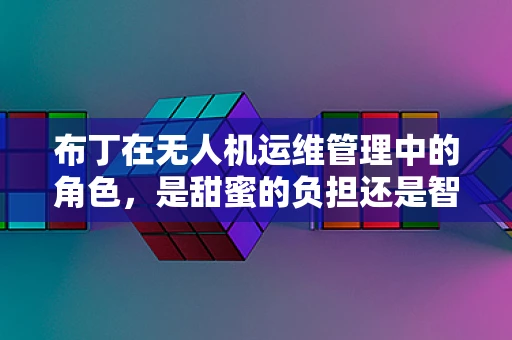 布丁在无人机运维管理中的角色，是甜蜜的负担还是智能的助手？
