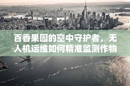 百香果园的空中守护者，无人机运维如何精准监测作物健康？