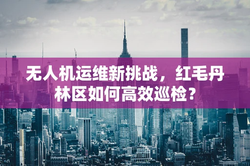 无人机运维新挑战，红毛丹林区如何高效巡检？