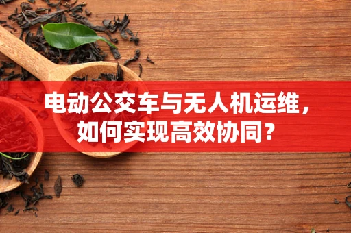 电动公交车与无人机运维，如何实现高效协同？