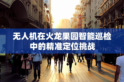 无人机在火龙果园智能巡检中的精准定位挑战