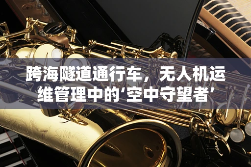 跨海隧道通行车，无人机运维管理中的‘空中守望者’