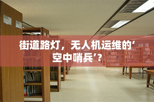 街道路灯，无人机运维的‘空中哨兵’？