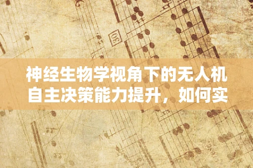 神经生物学视角下的无人机自主决策能力提升，如何实现更智能的运维管理？