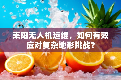 耒阳无人机运维，如何有效应对复杂地形挑战？