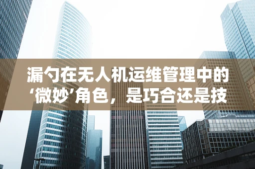 漏勺在无人机运维管理中的‘微妙’角色，是巧合还是技术妙用？