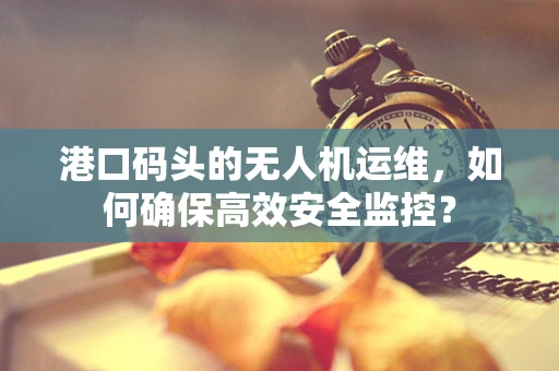 港口码头的无人机运维，如何确保高效安全监控？
