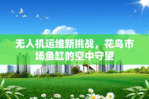 无人机运维新挑战，花鸟市场鱼缸的空中守望