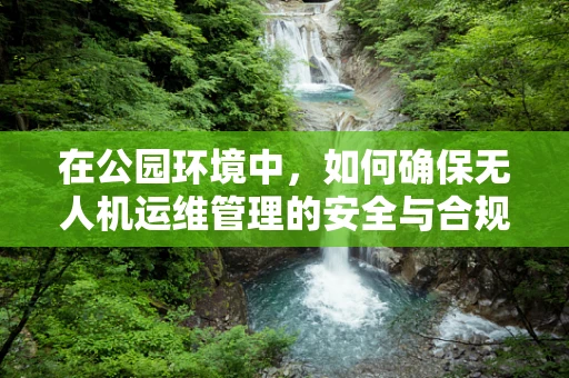 在公园环境中，如何确保无人机运维管理的安全与合规？