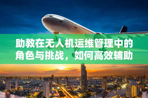 助教在无人机运维管理中的角色与挑战，如何高效辅助技术团队？
