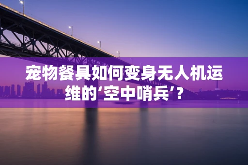 宠物餐具如何变身无人机运维的‘空中哨兵’？