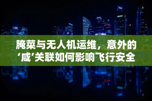 腌菜与无人机运维，意外的‘咸’关联如何影响飞行安全？