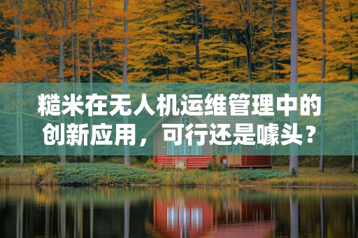 糙米在无人机运维管理中的创新应用，可行还是噱头？