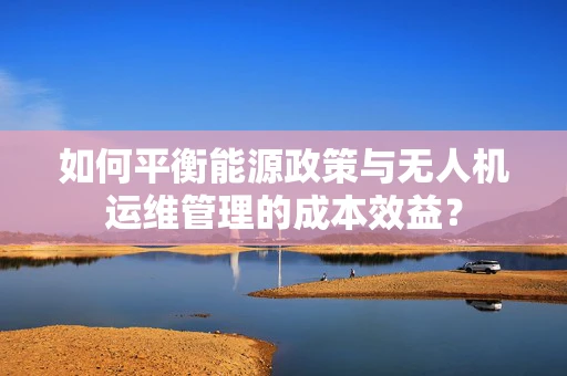 如何平衡能源政策与无人机运维管理的成本效益？
