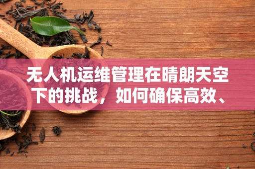 无人机运维管理在晴朗天空下的挑战，如何确保高效、安全的飞行作业？